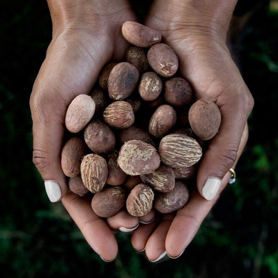 5 Manfaat Shea Butter Untuk Kesehatan Kulit